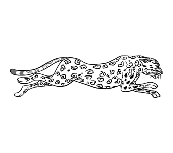 美洲豹怎么画霸气图片