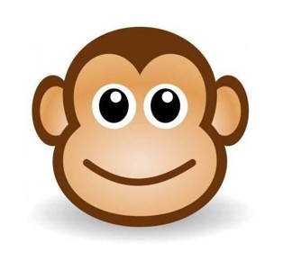 猴子最帅头像图片