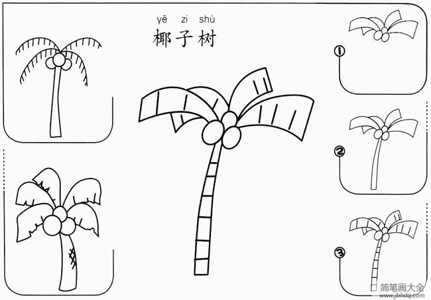 【椰子树怎么画】简笔画椰子树怎么画步骤图教程
