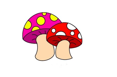 彩色的蘑菇简笔画画法步骤图解教程