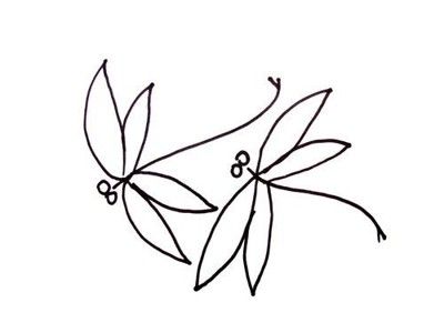 蜻蜓的简笔画画法