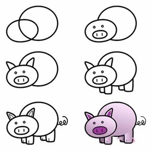 猪的简笔画教程步骤图片：怎么画小猪