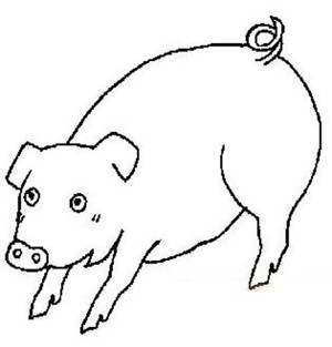 儿童关于猪的简笔画
