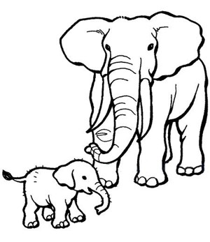 大象妈妈和小象简笔画