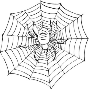 蜘蛛织网简笔画图片