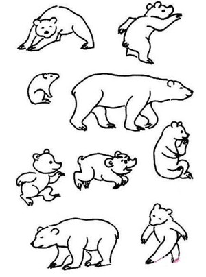各种体态的熊简笔画图片大全