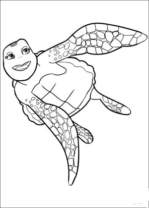 动物简笔画大全 大海龟简笔画