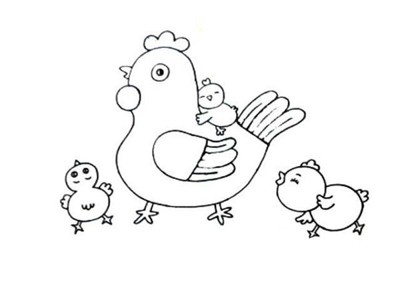 母鸡带小鸡简笔画