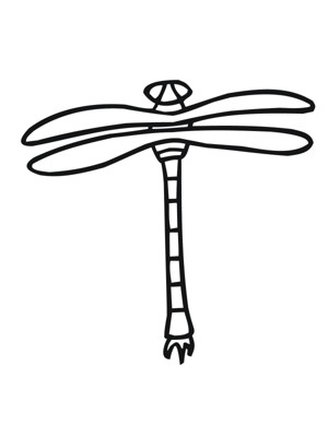 幼儿蜻蜓的画法