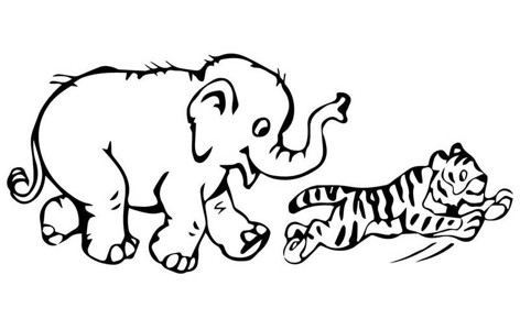 小老虎跟小象玩耍