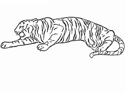 睡觉的老虎简笔画图片