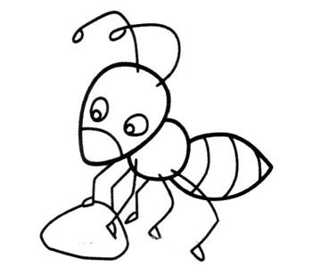 蚂蚁的种类图片画法图片
