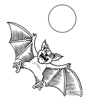 万圣节的蝙蝠简笔画