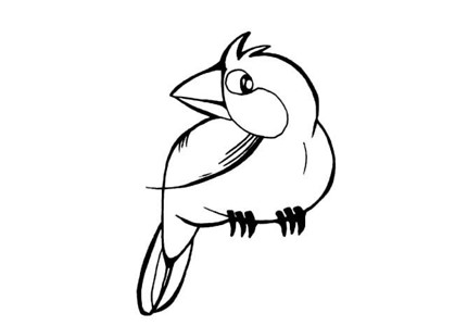 小鸟简笔画大全 可爱的鹦鹉简笔画