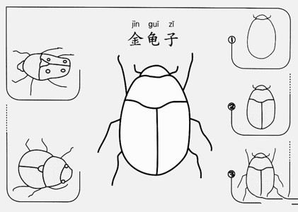 鳃角金龟简笔画图片