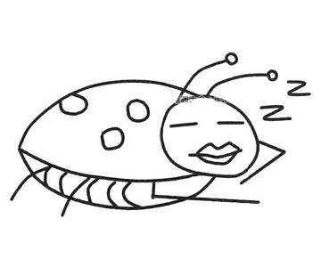 一组卡通瓢虫简笔画图片