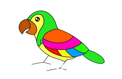 美丽鹦鹉简笔画彩色画法步骤图片,鹦鹉简笔画