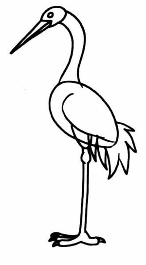 丹顶鹤的画法儿童画图片