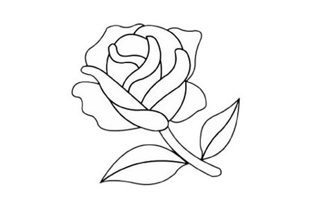 美丽的玫瑰花简笔画