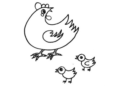 母鸡带着两只小鸡简笔画