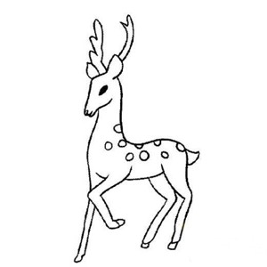 幼儿动物简笔画图片：鹿