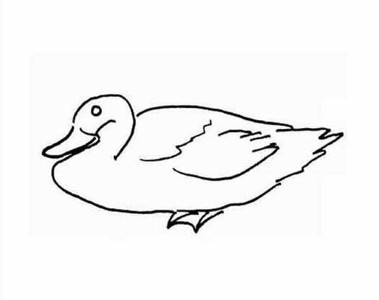 简单鸭子的简笔画图片