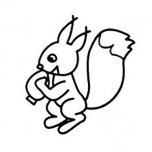 幼儿简笔画：吃坚果的松鼠