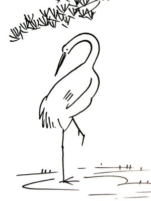 关于鹤的简笔画画法