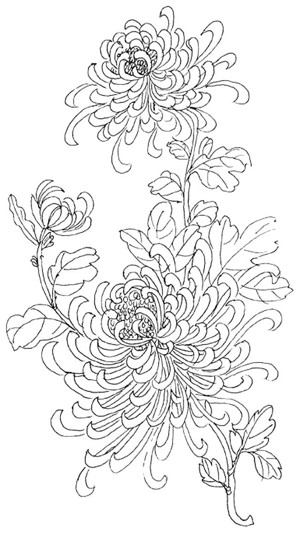 卡通向日葵简笔画植物花 卡通向日葵植物花简笔画步骤图片大全二,图片