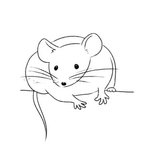 小老鼠简笔画图图片