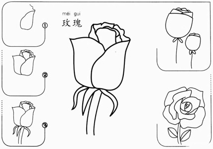 简单的玫瑰花怎么画简笔画