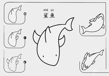 画大白鲨 步骤图片