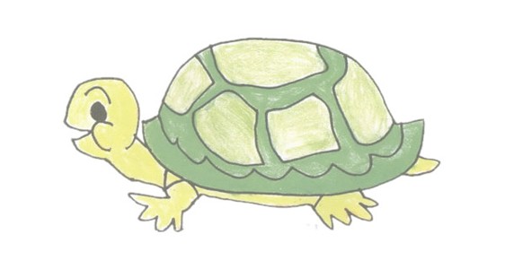 乌龟简笔画彩色画法步骤图解教程