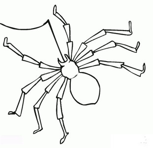 画一只巨型蜘蛛图片