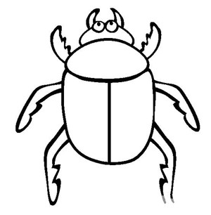 昆虫图片 甲虫简笔画图片