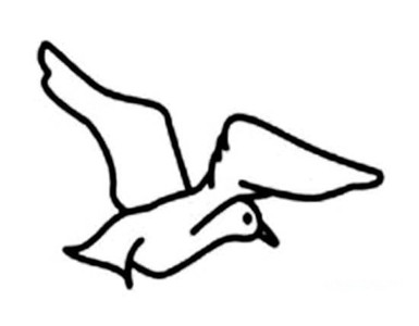 天空飞行的海鸥简笔画图片
