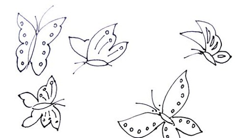 蝴蝶的笔画顺序图片