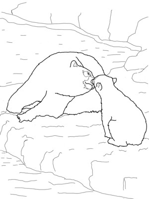 北极熊宝宝和妈妈