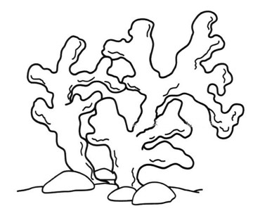 珊瑚虫简笔画图片