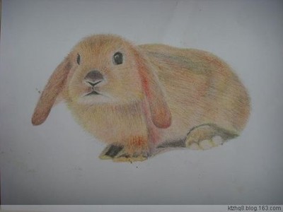 蜡笔画-发呆中的兔子