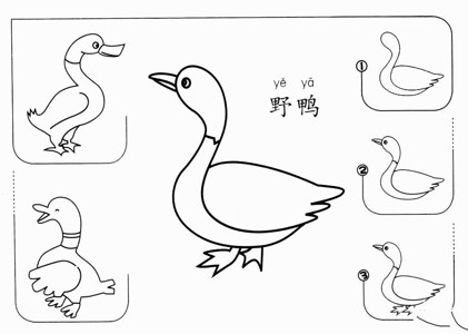 鸭子怎么画口诀图片