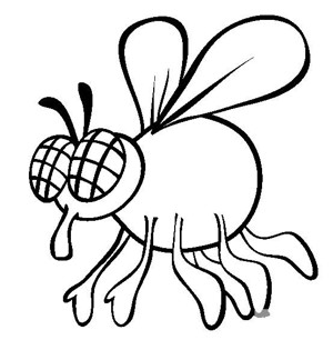 昆虫图片 卡通苍蝇简笔画图片