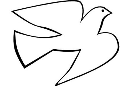 画一个会飞的鸽子图片