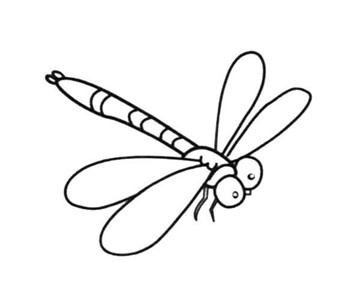 简笔画图片蜻蜓