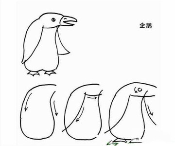 儿童简笔画教程 企鹅