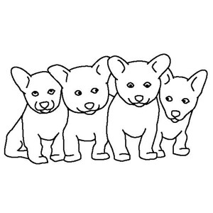 四只宠物小狗简笔画图片