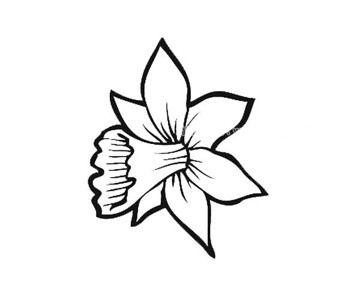 各种花瓣的简笔画图片 12种花瓣的简单画法大全