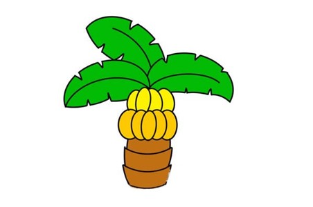 香蕉长在树上简笔画图片