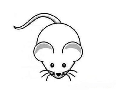 可爱小老鼠简笔画