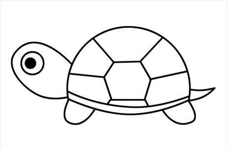 爬行的小乌龟简笔画图片
